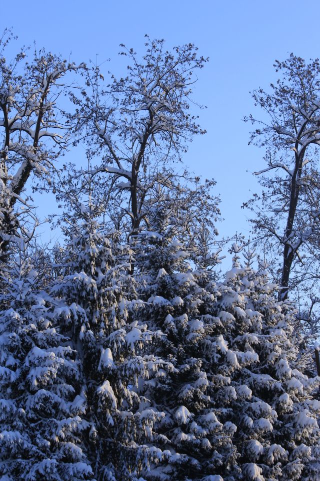 PREKRASEN ZIMSKI DAN - foto povečava