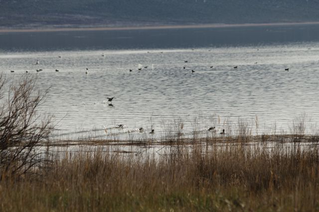 PAKOŠTANE in VRANSKO JEZERO 22.12.2012 - foto