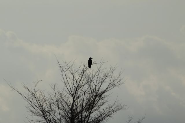 PAKOŠTANE in VRANSKO JEZERO 22.12.2012 - foto