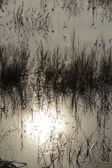 PAKOŠTANE in VRANSKO JEZERO 22.12.2012 - foto