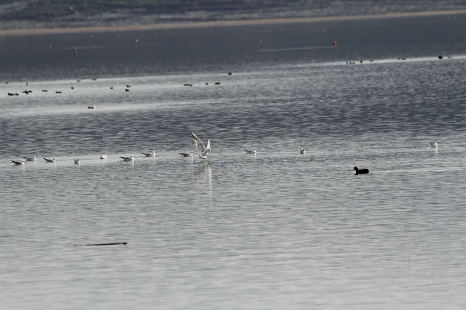 PAKOŠTANE in VRANSKO JEZERO 22.12.2012 - foto povečava