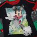 mickey 104