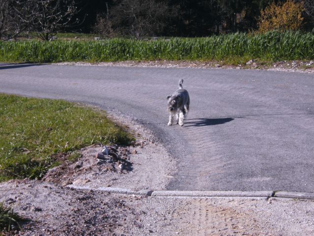 Pohod na sv.Jakob in Jetrbenk - foto