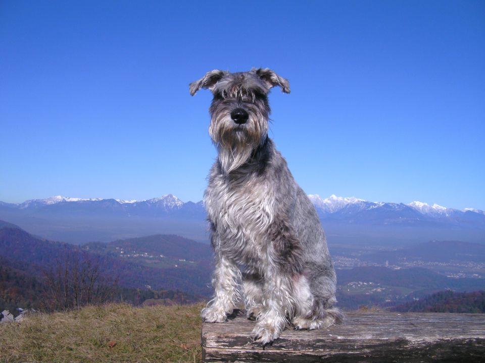 Pohod na sv.Jakob in Jetrbenk - foto povečava