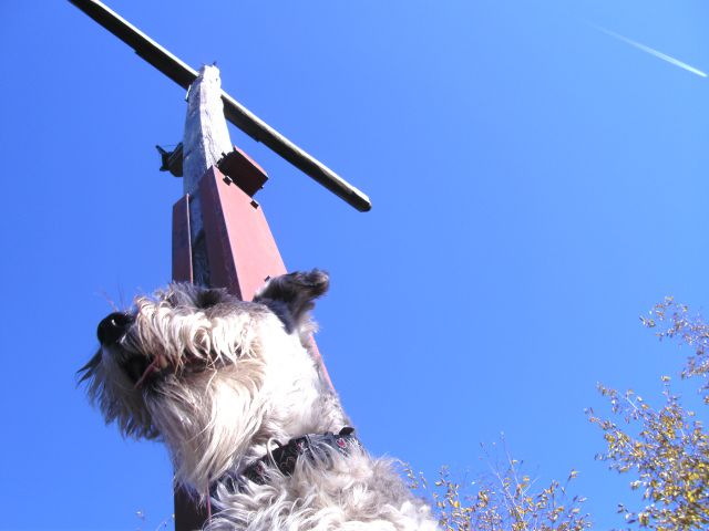 Pohod na sv.Jakob in Jetrbenk - foto