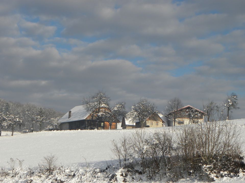 Zima - foto povečava