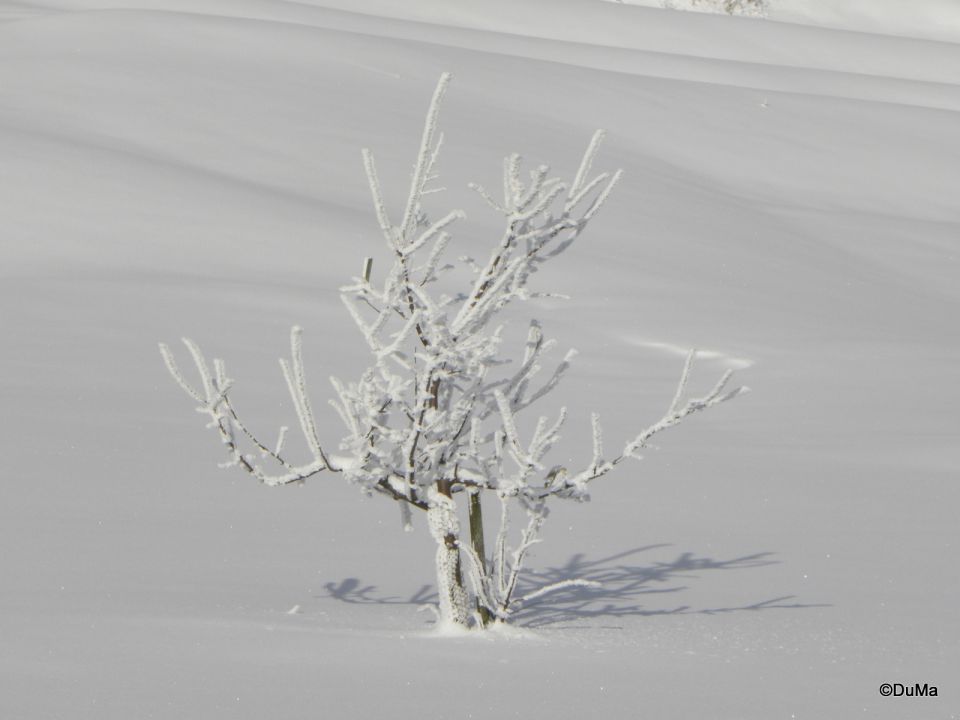 Zima - foto povečava