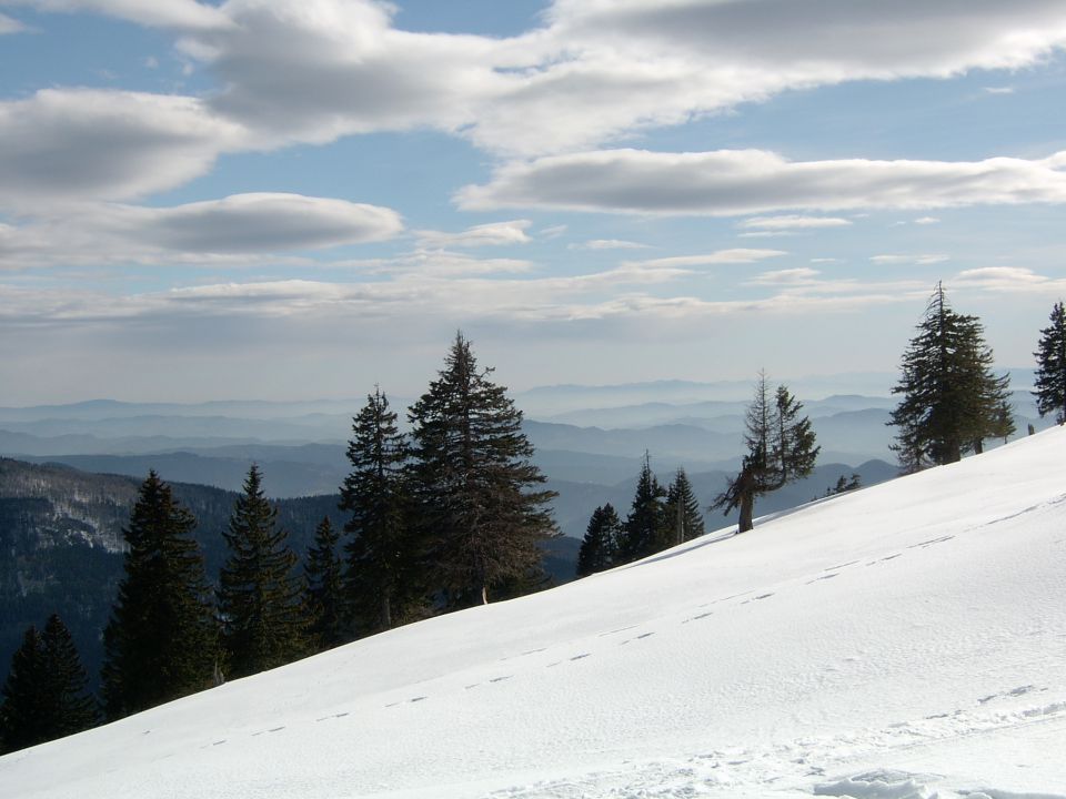 PPS - Po planotah Slovenije 2008 - foto povečava