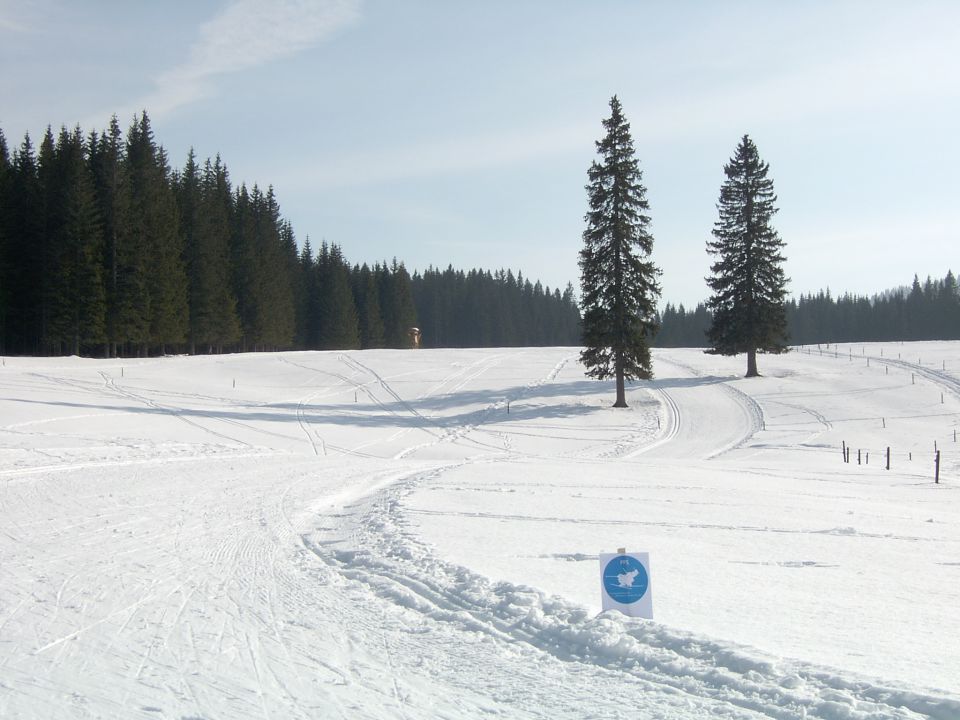 PPS - Po planotah Slovenije 2008 - foto povečava