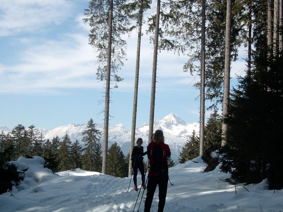 PPS - Po planotah Slovenije 2008 - foto povečava