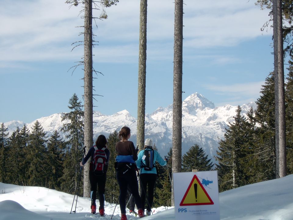 PPS - Po planotah Slovenije 2008 - foto povečava