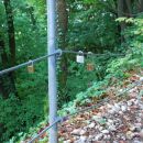 Šmarna gora