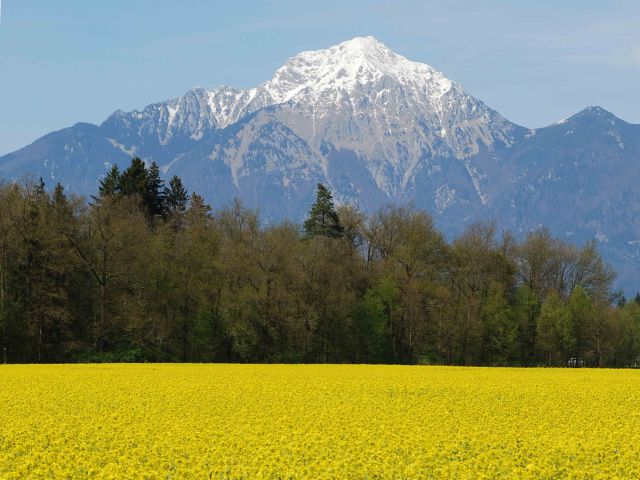 Okolica ljubljane - foto