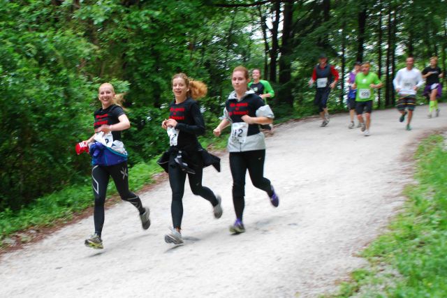 Tek trojk 2013 - foto