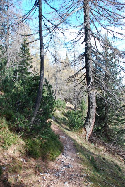 Pohodi DCA Rudnik (poletje - jesen 2014) - foto