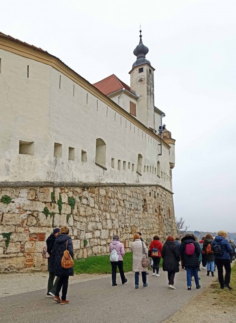DCA Martinovanje 11.11. - foto