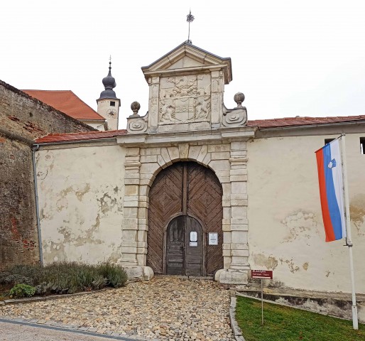 DCA Martinovanje 11.11. - foto
