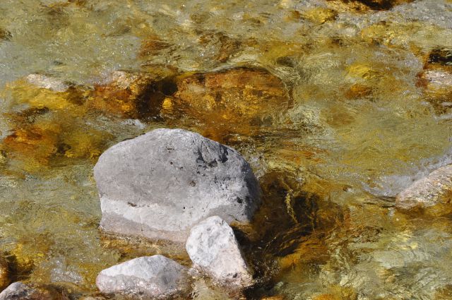 Potep po obali in Gorenski - foto