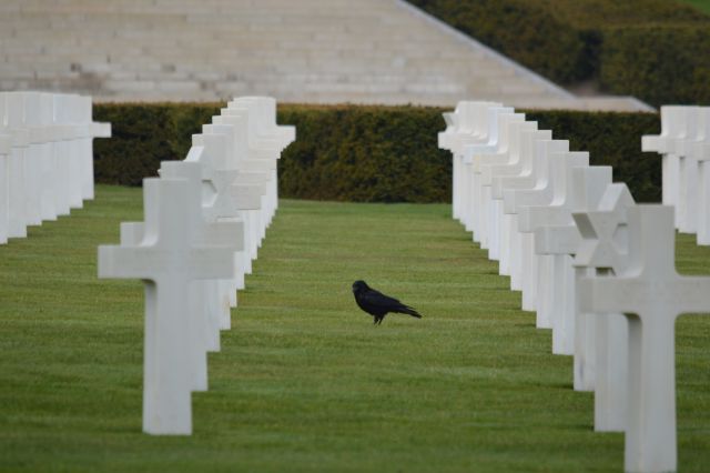 Francija-pokopališče ww2 - foto