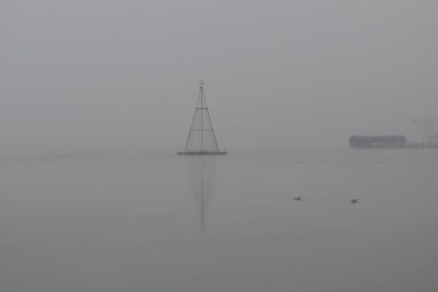 Vrbsko jezero v megli in soncu - foto