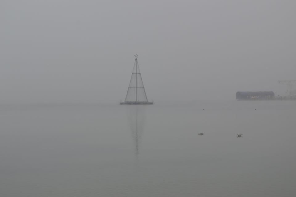 Vrbsko jezero v megli in soncu - foto povečava