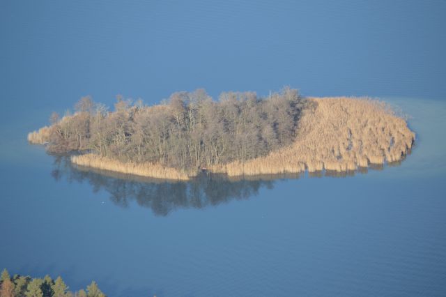 Vrbsko jezero v megli in soncu - foto