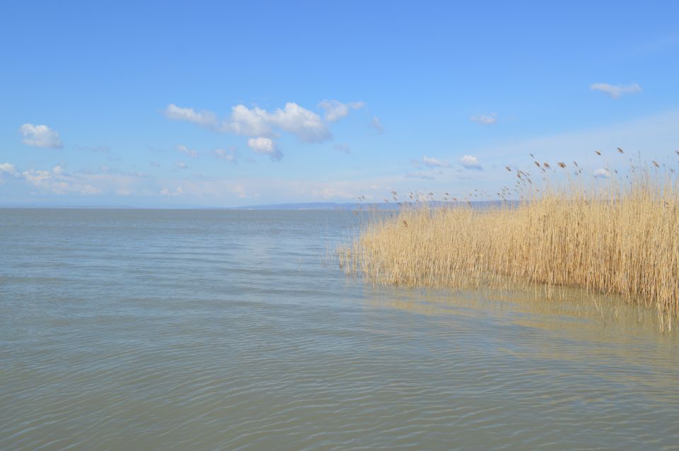 Avstrija-nežidersko jezero - foto povečava