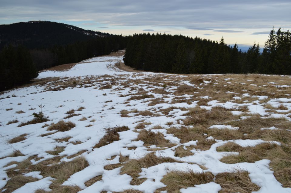 Kope pozimi brez snega - foto povečava