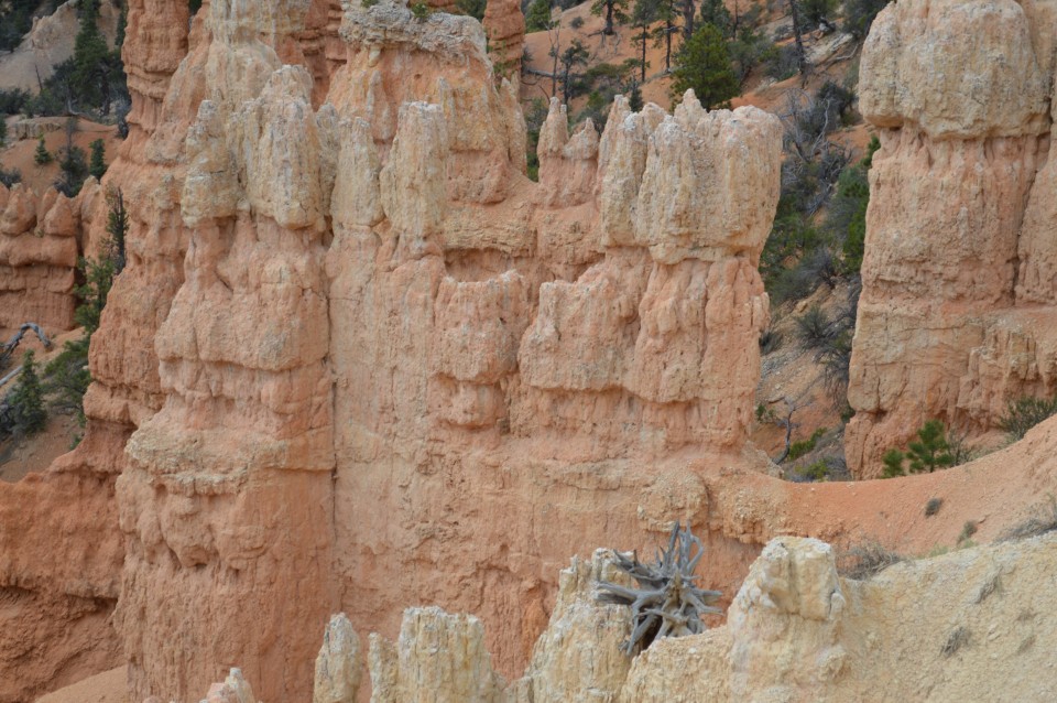 Potep po zda- bryce narodni park - foto povečava