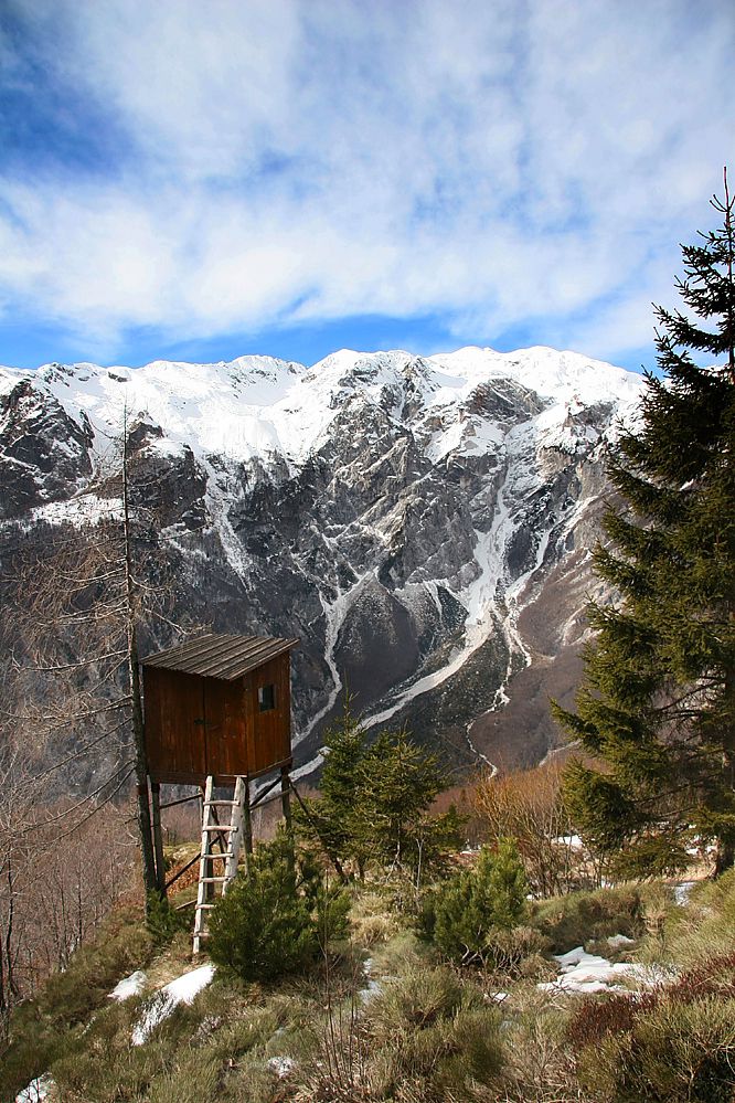 Na planincah -planina dobrenščca - foto povečava