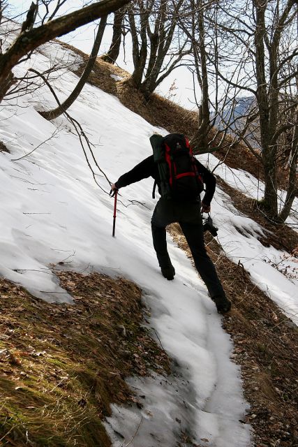 Na planincah -planina dobrenščca - foto