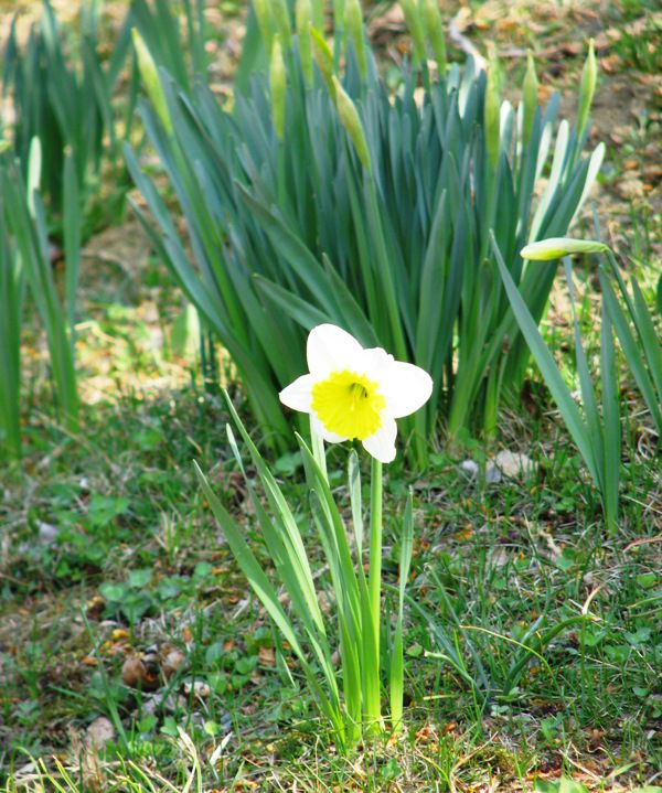 Kar tako... - foto povečava