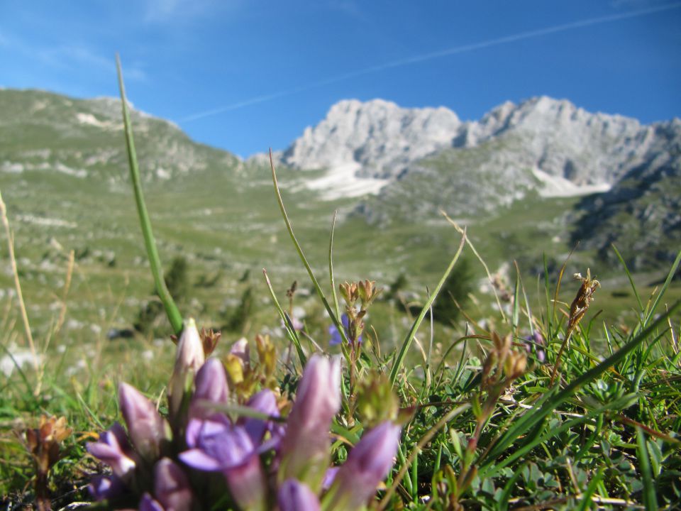 14.8. Montaž 2753m - foto povečava