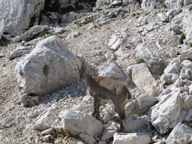 14.8. Montaž 2753m - foto