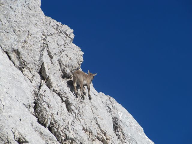 14.8. Montaž 2753m - foto