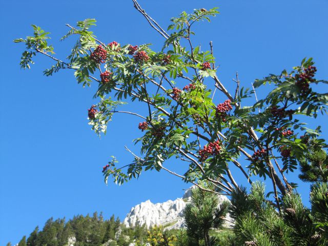 17.8.2011 VRTAČA 2180m - foto