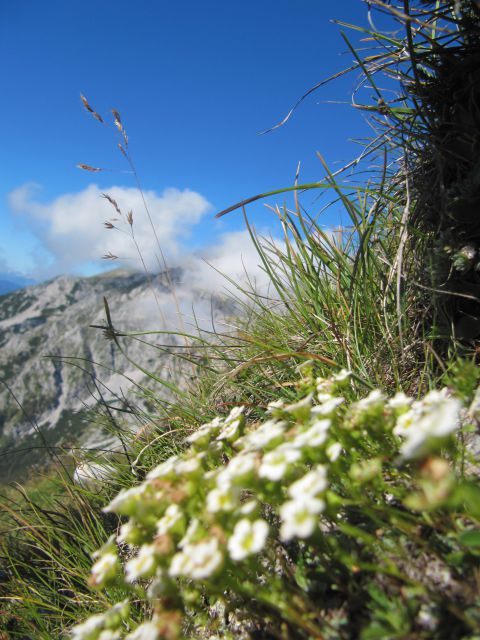 17.8.2011 VRTAČA 2180m - foto