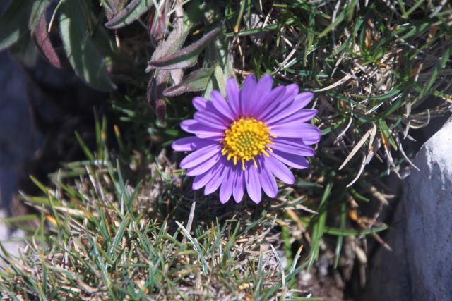 17.8.2011 VRTAČA 2180m - foto