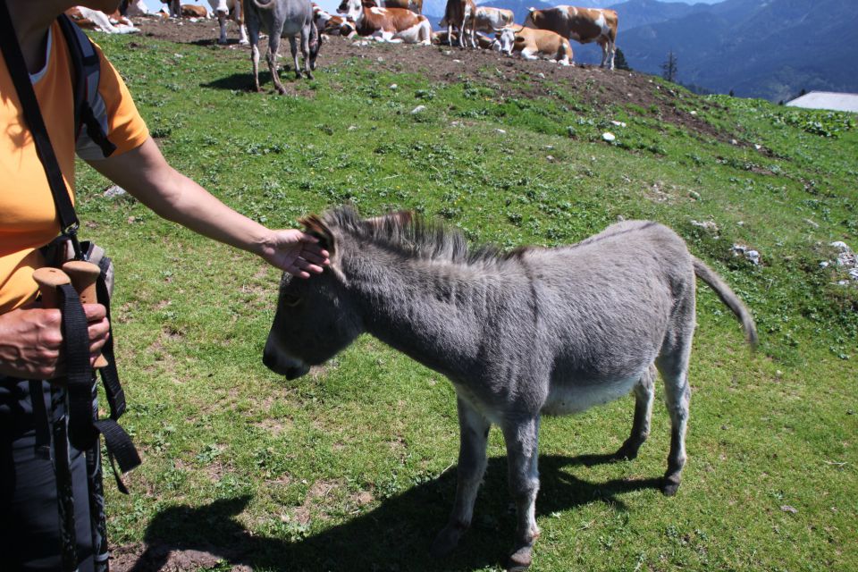 VELIKI VRH 2088m - foto povečava