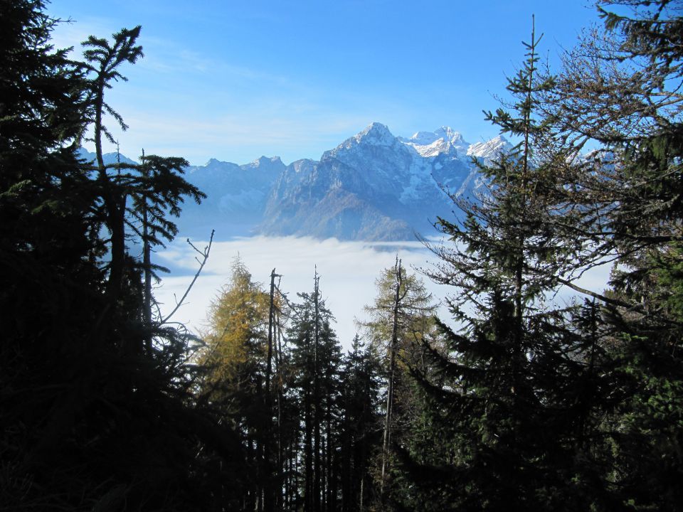 Jerebikovec 1593m - foto povečava