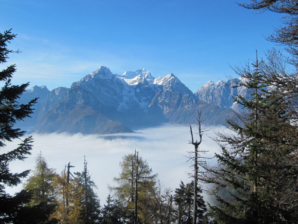 Jerebikovec 1593m - foto povečava