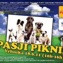 PASJI PIKNIK PUPPY