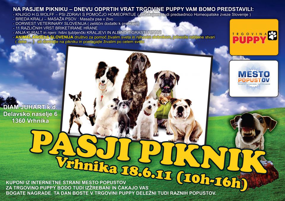 PASJI PIKNIK