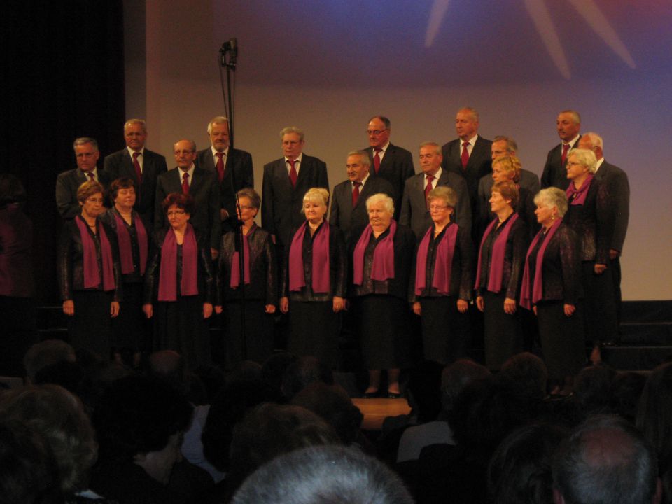 Medobčinsko srečanje pevskih zborov, maj 2012 - foto povečava