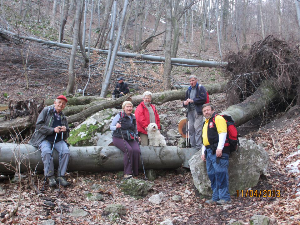 Pohod na Boč-18.4.2013 - foto povečava