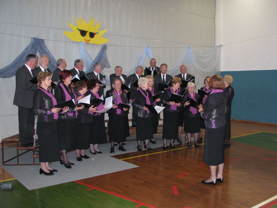 Letni koncert pevskega zbora -6. junij 2013 - foto povečava
