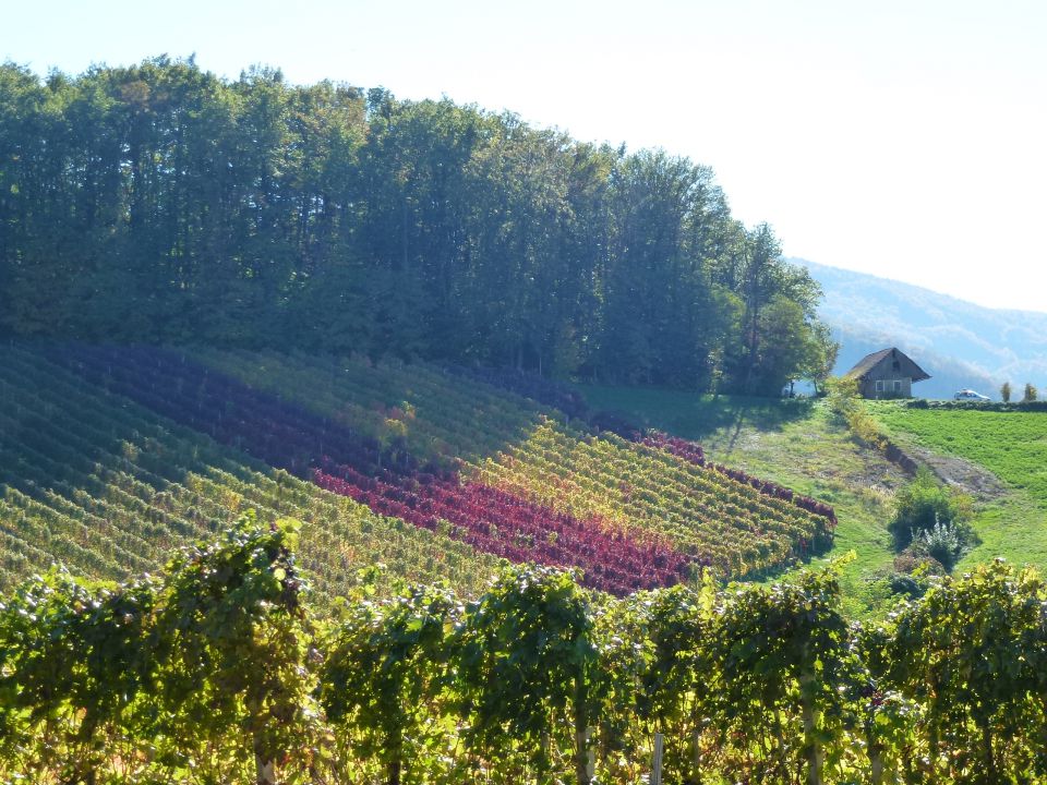 Izlet PZ, 17.oktober 2013 - foto povečava