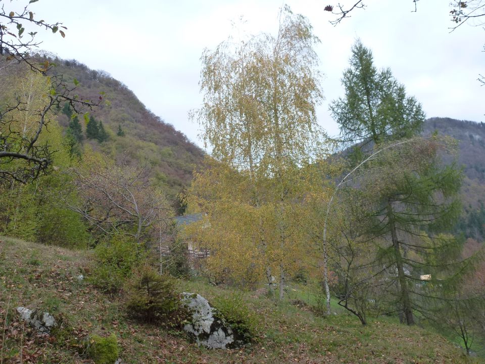 Pohod-Dom na Čreti, 31.oktober 2013 - foto povečava