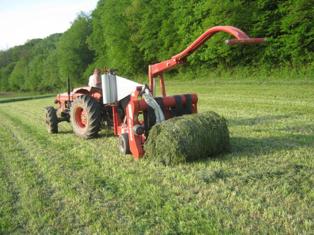 Sijenaža 2012 - foto povečava