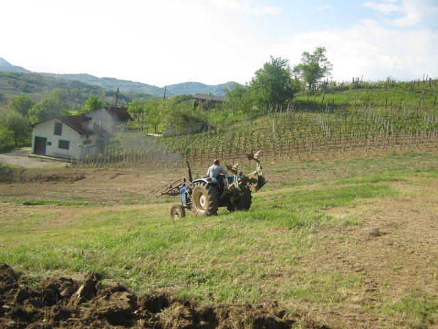 Oranje 2012 - foto povečava